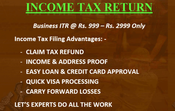 Income Tax Business ITR