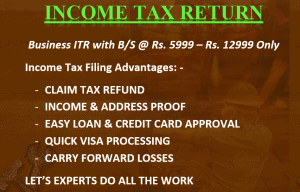 Income Tax Business ITR with Balance Sheet