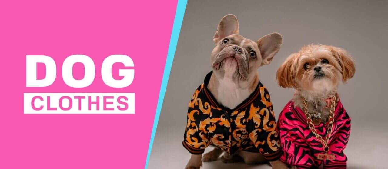 Pet Clothing and Accessories - Top 25 Clothing Business Ideas - Infinity Compliance - www.infinitycompliance.in - INFC - profitable business ideas